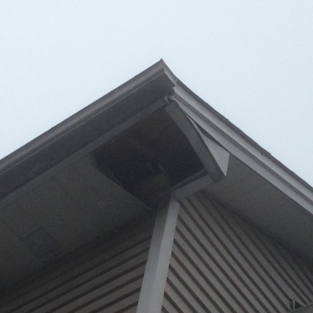 raccoon entry point in soffit