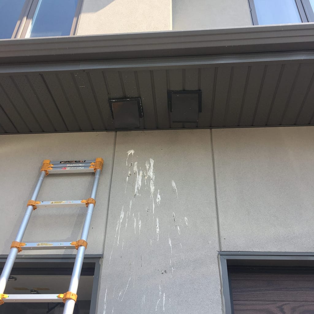 bird entry into commercial vent