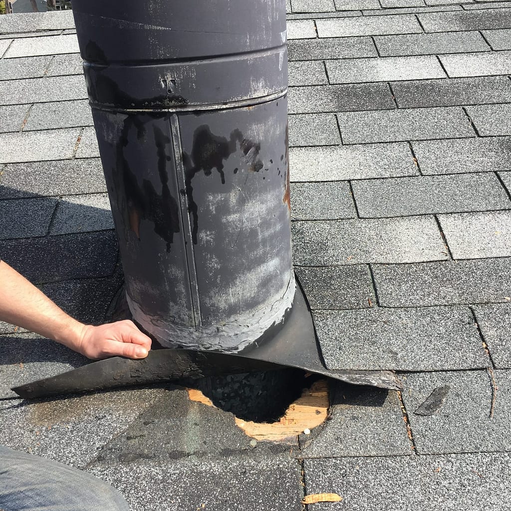 raccoon chew through roof at chimney