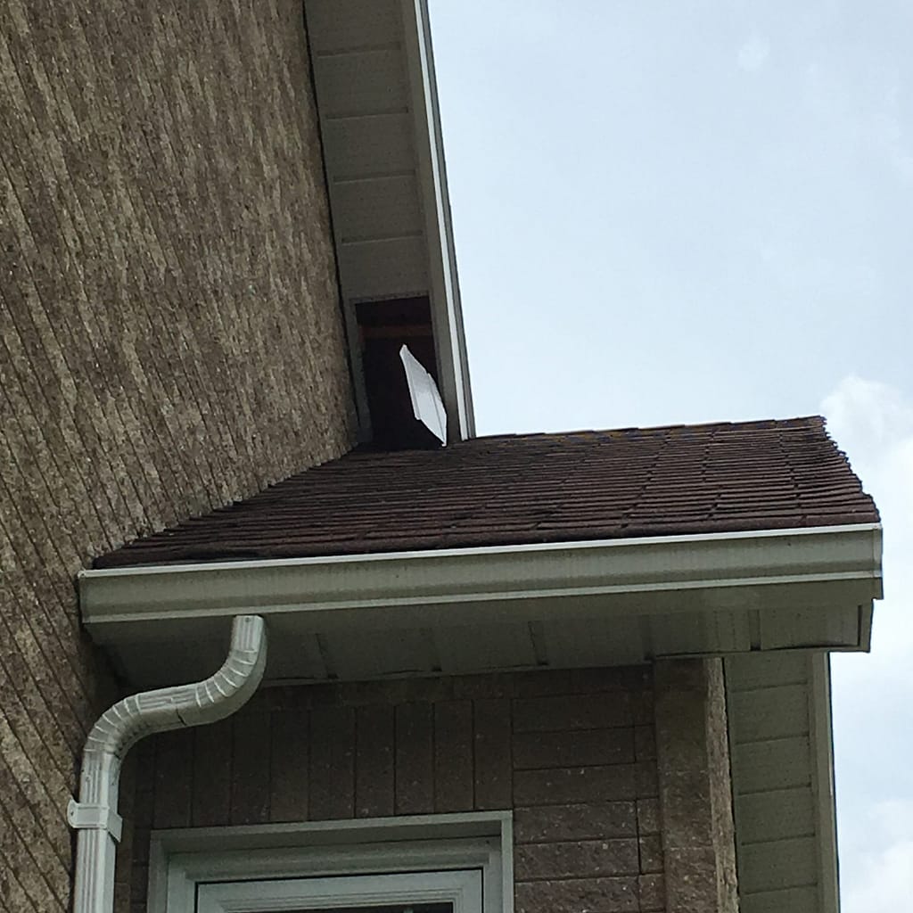 soffit damage by raccoon